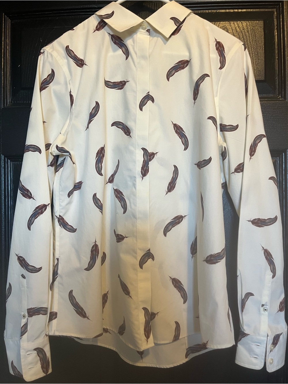 Lands End Cotton Supima No Wrinkle Cream Button Down Shirt with Feather Pattern